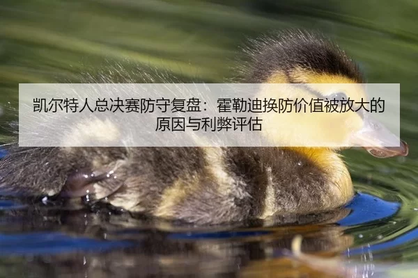 凯尔特人总决赛防守复盘：霍勒迪换防价值被放大的原因与利弊评估