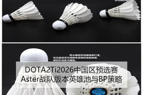 DOTA2Ti2026中国区预选赛Aster战队版本英雄池与BP策略